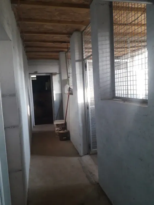 Le couloir intérieur desservant les boxes des chiens